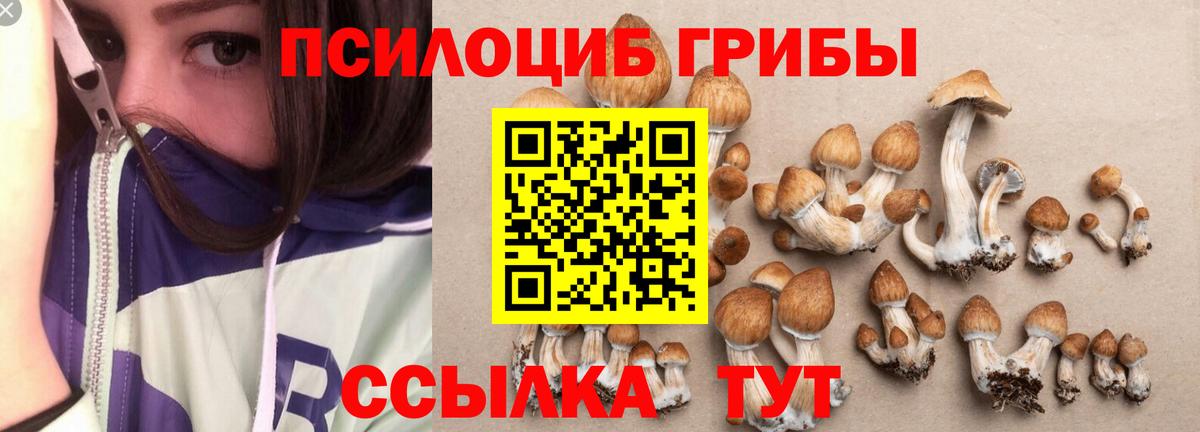 Галлюциногенные грибы мухоморы  Вход с VPN  Псилоцибиновые грибы Cubensis  Лиски 